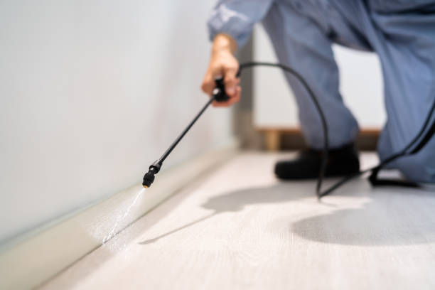 Rodent Entry Point Assessment in Four Corners