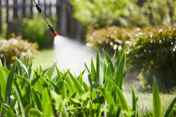 Tamper-Resistant Bait Stations for Rodents in Four Corners