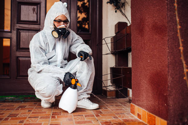 Attic and Crawl Space Rodent Treatment in Four Corners