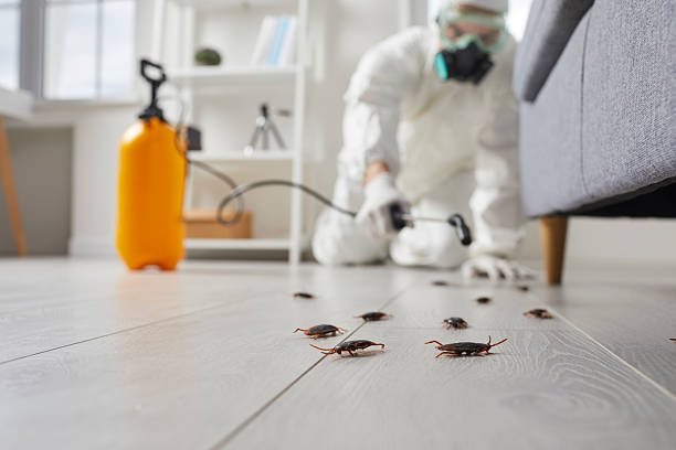Commercial Rodent Management in Four Corners